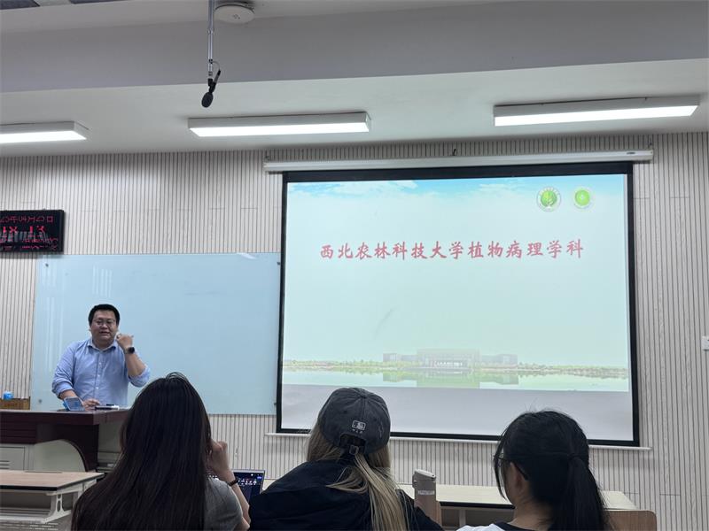 800郭嘉图片3.jpg