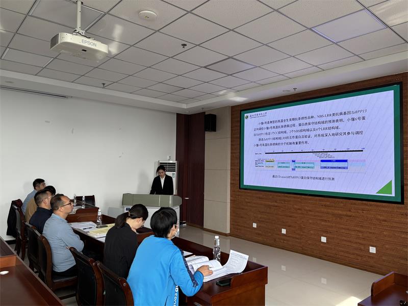 800IMG_1846.jpg