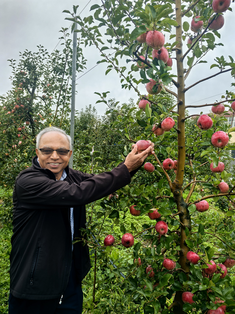 Krishna did field investigation.jpg