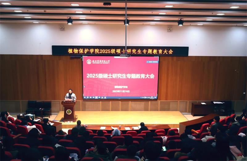 800高书记讲话.jpg