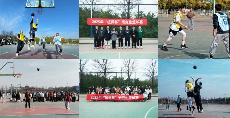800组图.jpg