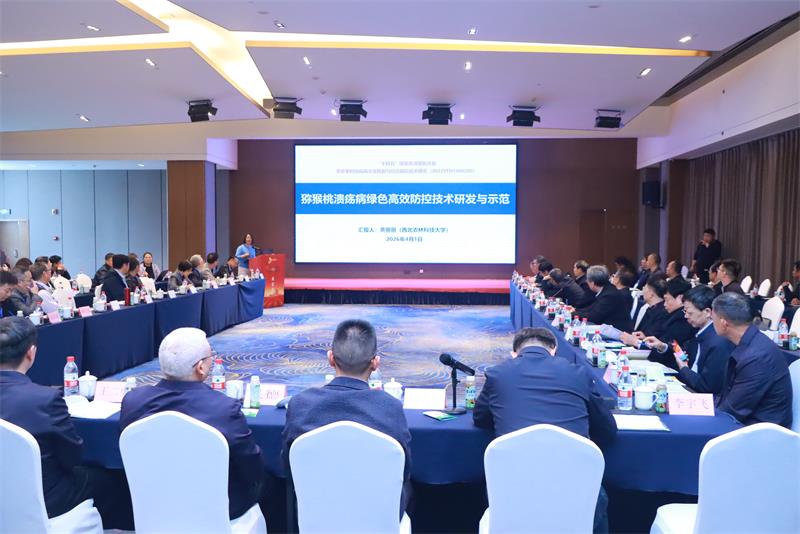 800黄丽丽教授在大会作专题报告.jpg