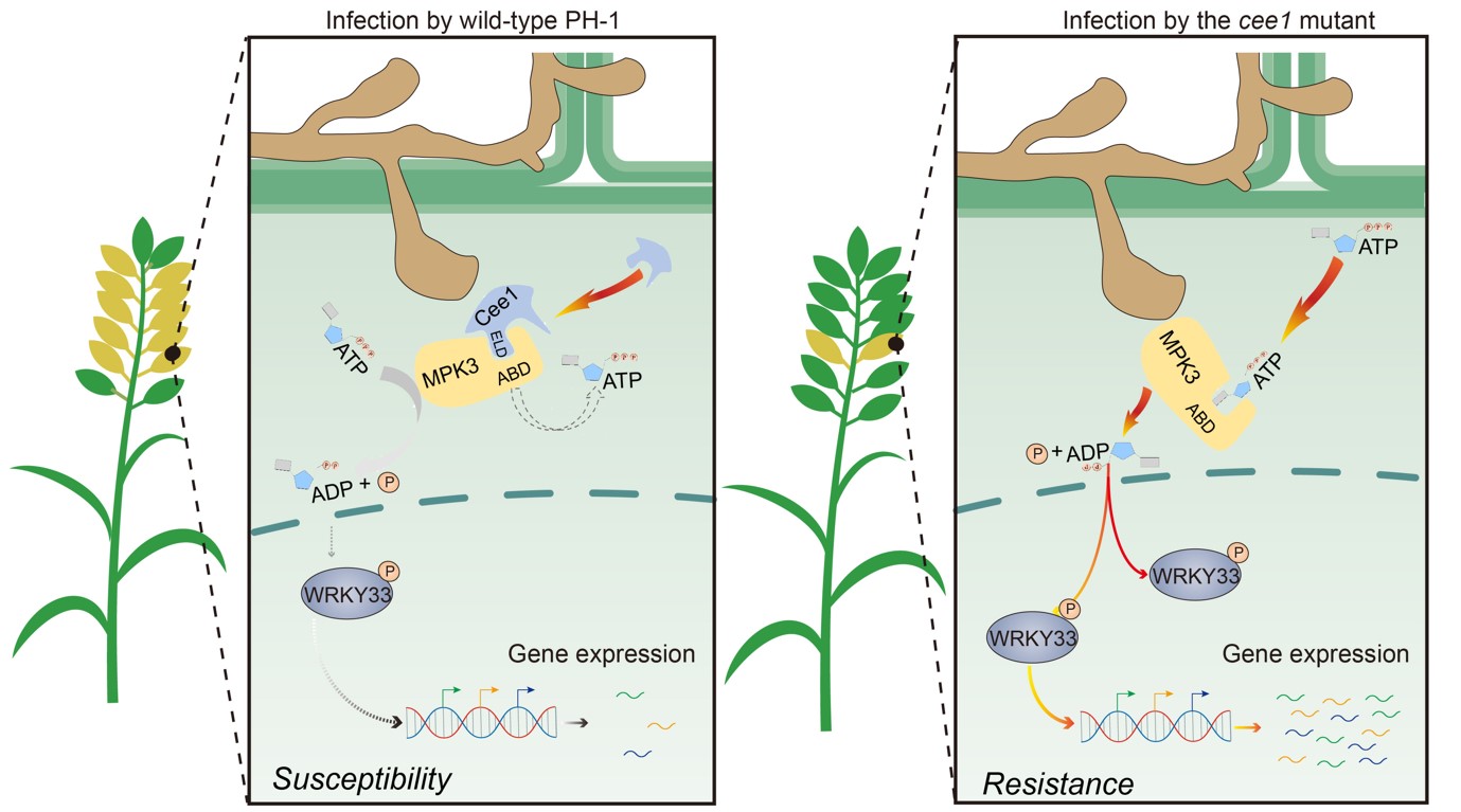 图片.jpg