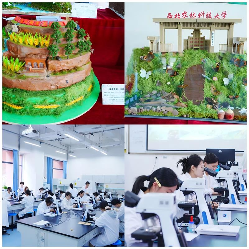 2026年植保专业技能与昆虫微景观制作大赛圆满收官